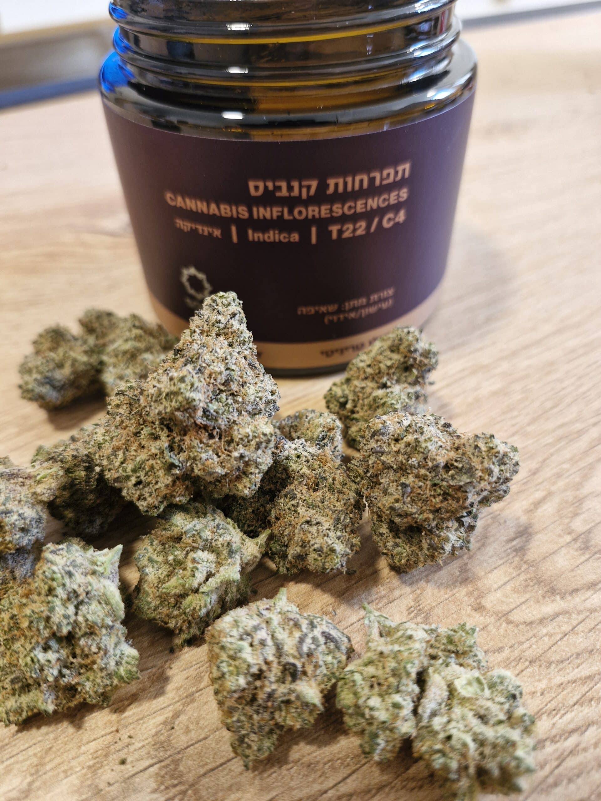 סולו טריניטי (SOLO Trinity) – אינדיקה T22/C4