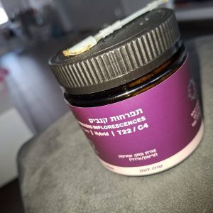 סולו לומן (SOLO Lumen) – היבריד T22/C4