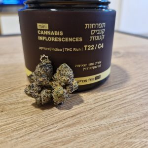 סולו פבריק מיני (SOLO Fabric Mini) – אינדיקה T22/C4 סולו פבריק מיני (SOLO Fabric Mini) – אינדיקה T22/C4