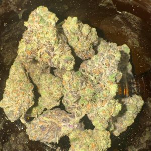 סולו תדר (SOLO Teder) – היבריד T22/C4