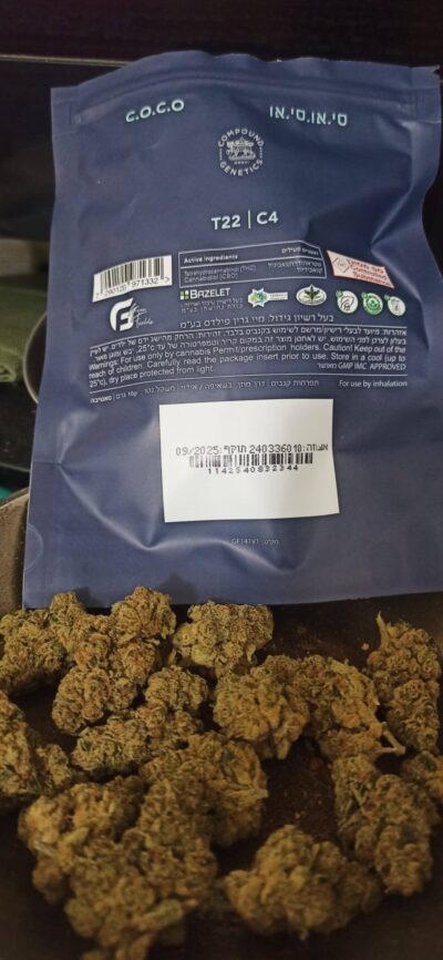 סי.או.סי.או (C.O.C.O) – סאטיבה T22/C4