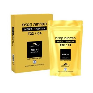 סי.בי.אר 11 (CBR 11) – אינדיקה T22/C4