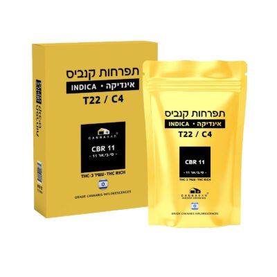 סי.בי.אר 11 (CBR 11) – אינדיקה T22/C4