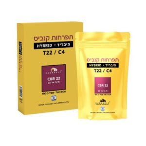 סי.בי.אר 22 (CBR 22) – היבריד T22/C4