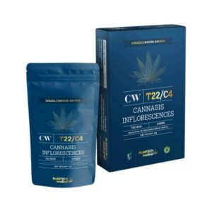 סי דאבליו (CW) – היבריד T22/C4