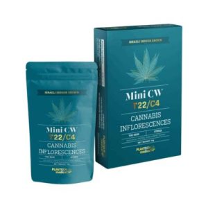 סי דאבליו מיני (CW Mini) – היבריד T22/C4