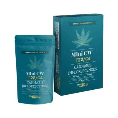 סי דאבליו מיני (CW Mini) – היבריד T22/C4