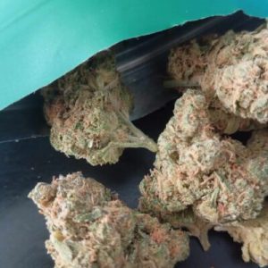 סי-טרולי (C-Trolli) – סאטיבה T22/C4