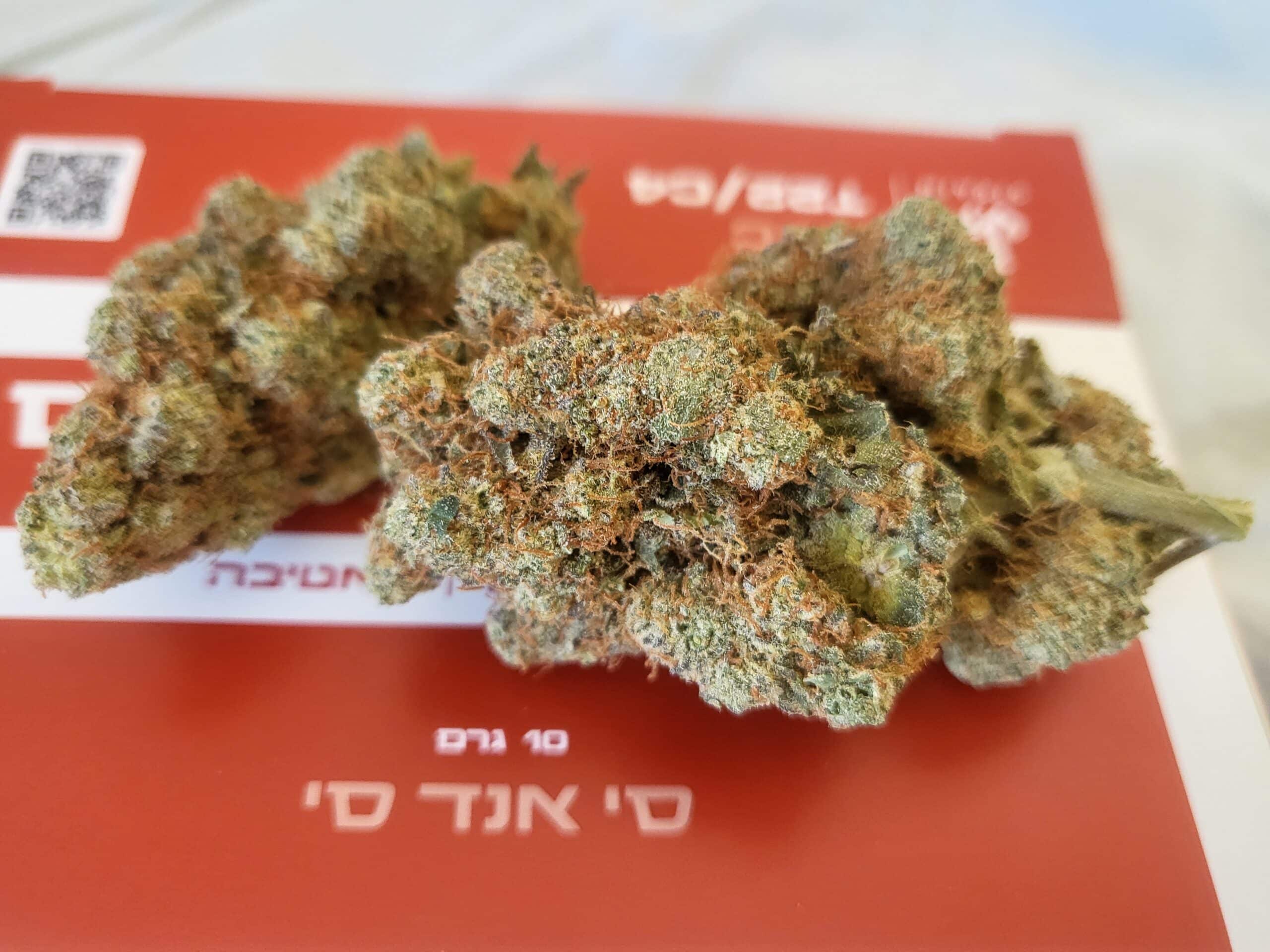 סי&סי (C&C) – סאטיבה T22/C4