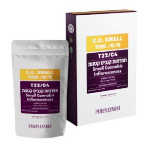 סי.סי. סמול (C.C. Small) – היבריד T22/C4