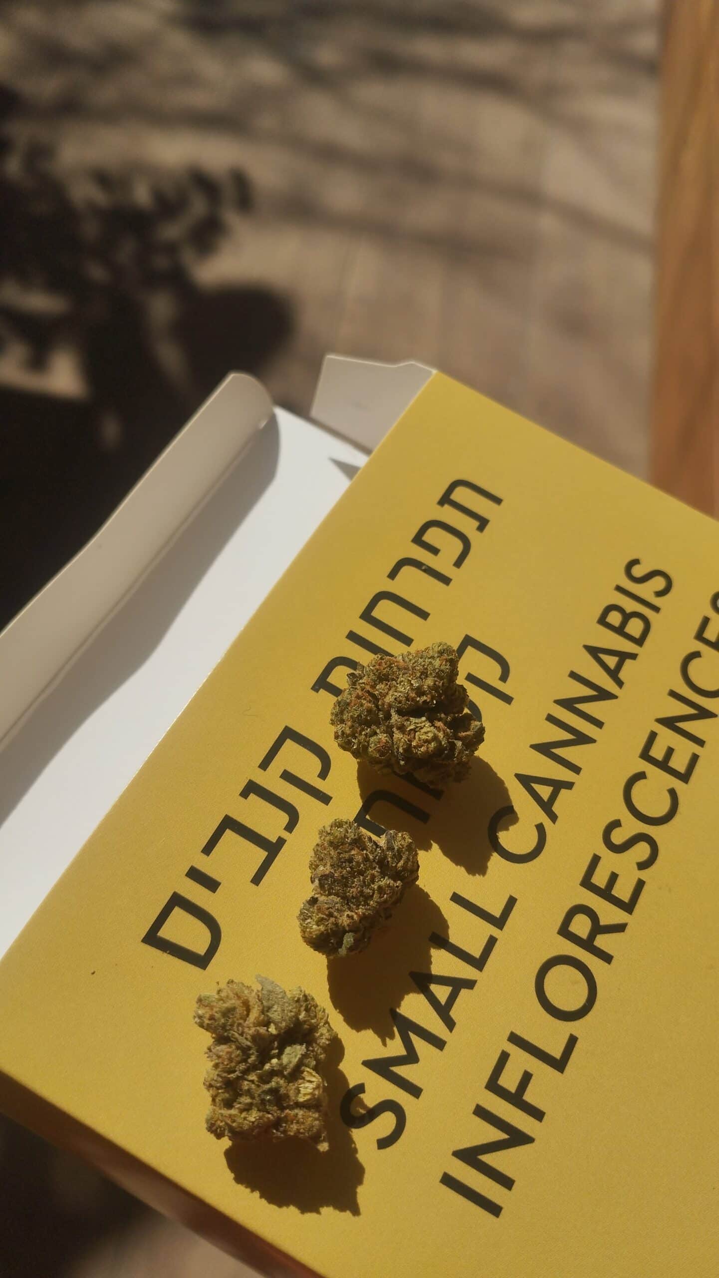 ספיר מיני (Sapir Mini) – אינדיקה T22/C4