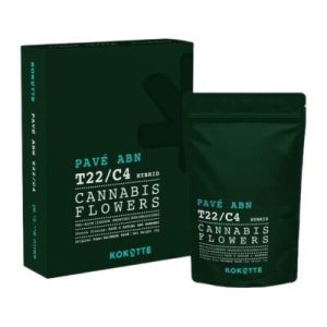 פאבה איי.בי.אן (Pavé ABN) – היבריד T22/C4 פאבה איי.בי.אן (Pavé ABN) – היבריד T22/C4