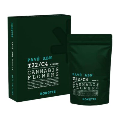 פאבה איי.בי.אן (Pavé ABN) – היבריד T22/C4