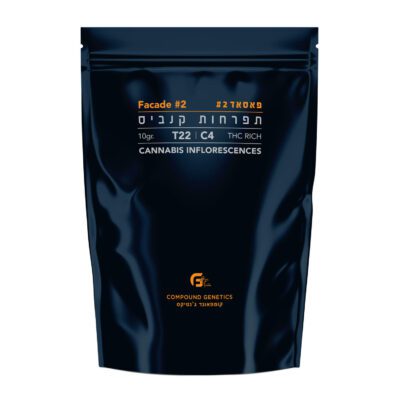 פאסאד #2 (Facade #2) – אינדיקה T22/C4