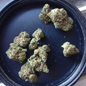 פוג מיני (FOG Mini) – אינדיקה T22/C4