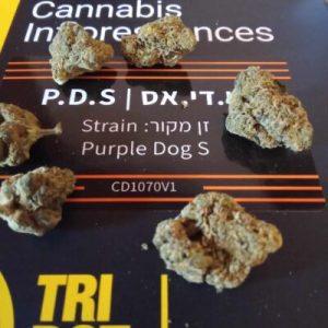 פי.די.אס (‎P.D.S) – סאטיבה T22/C4