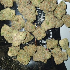 פי.קיי-איקס (P.K-X) – אינדיקה T22/C4