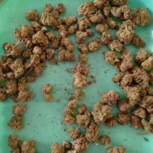 פיוז'ן (Fusion) – סאטיבה T22/C4