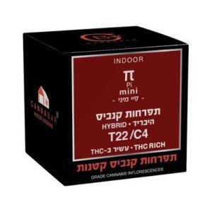 פיי מיני (Pi Mini) – היבריד T22/C4