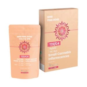 פינק רוז מיני (Pink Rose Mini) – היבריד T22/C4