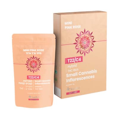 פינק רוז מיני (Pink Rose Mini) – היבריד T22/C4