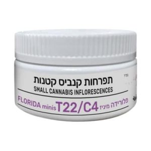 פלורידה מיניז (Florida Miniz) – אינדיקה T22/C4