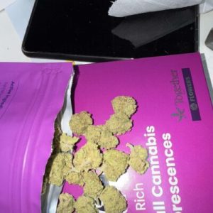 פרפל אייריס מיני (Purple Iris Mini) – אינדיקה T22/C4