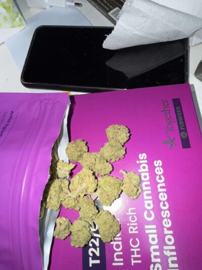 פרפל אייריס מיני (Purple Iris Mini) – אינדיקה T22/C4