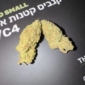 פרפל די סמול (Purple D Small) – אינדיקה T22/C4