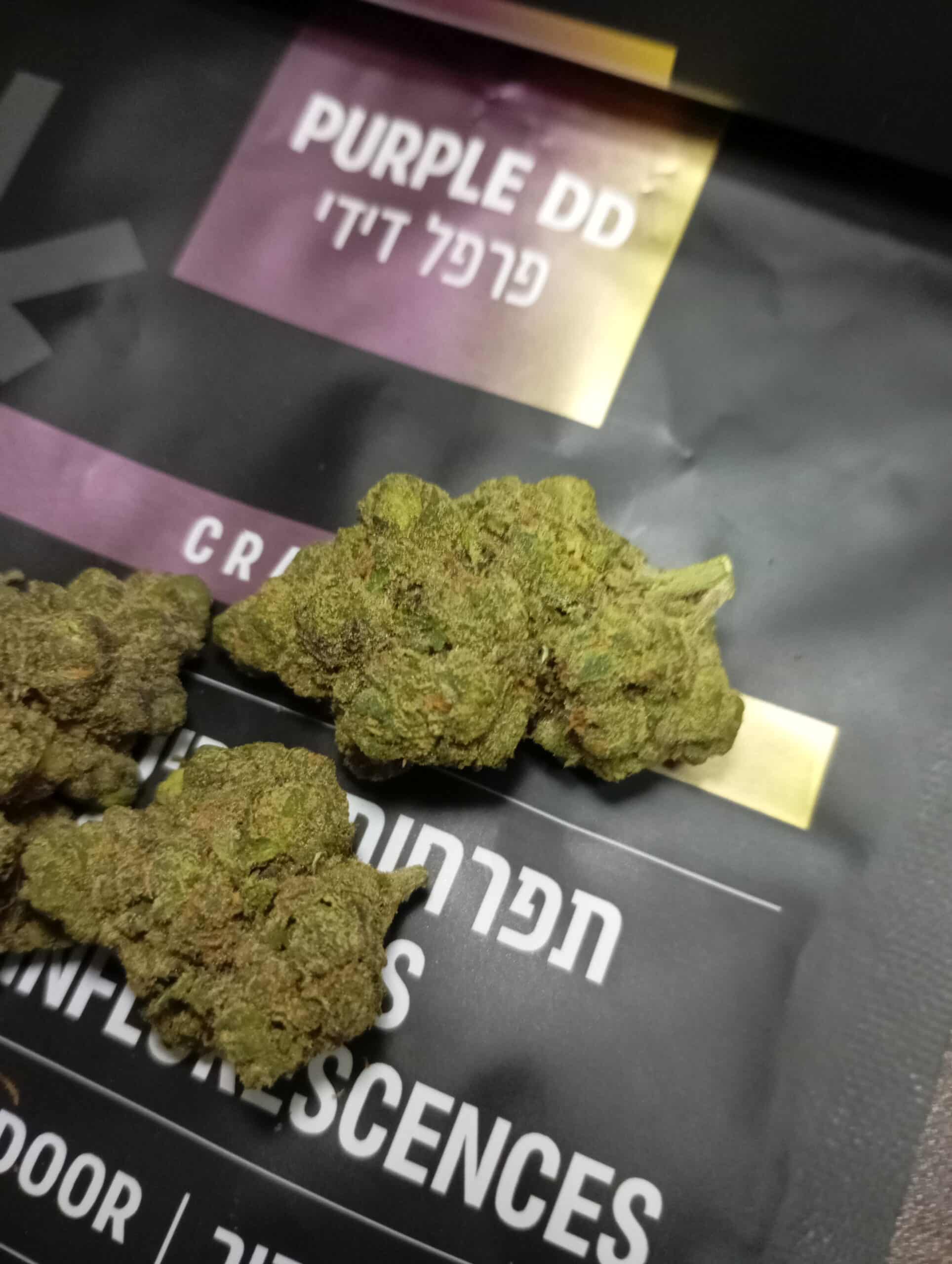 פרפל דידי (Purple DD) – אינדיקה T22/C4