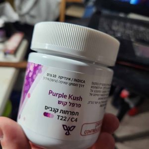 פרפל קוש (Purple Kush) – אינדיקה T22/C4