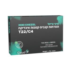 צ'יזל מיני (Chezel Mini) – אינדיקה T22/C4