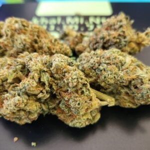 קאל.מי.נטז (Khal.Mi.Ntz) – סאטיבה T22/C4