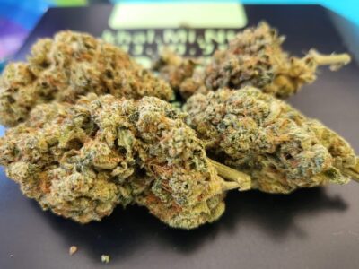 קאל.מי.נטז (Khal.Mi.Ntz) – סאטיבה T22/C4