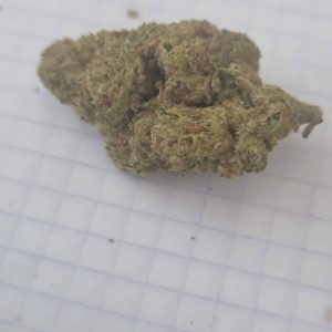 קאלי מיסט (Kali Mist) – סאטיבה T22/C4