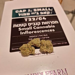 קאפ ג'יי סמול (Cap J. Small) – אינדיקה T22/C4