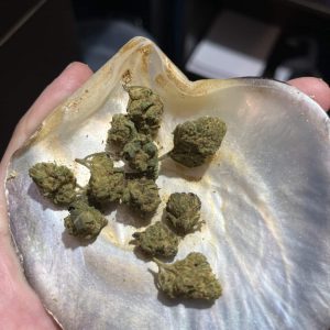 קוואנטייז (Quantize) – אינדיקה T22/C4