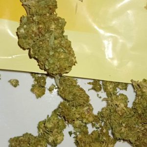 קולור ליין צהוב (Color Line Yellow) – סאטיבה T22/C4