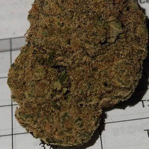 קטצ'רס (Catchers) – אינדיקה T22/C4