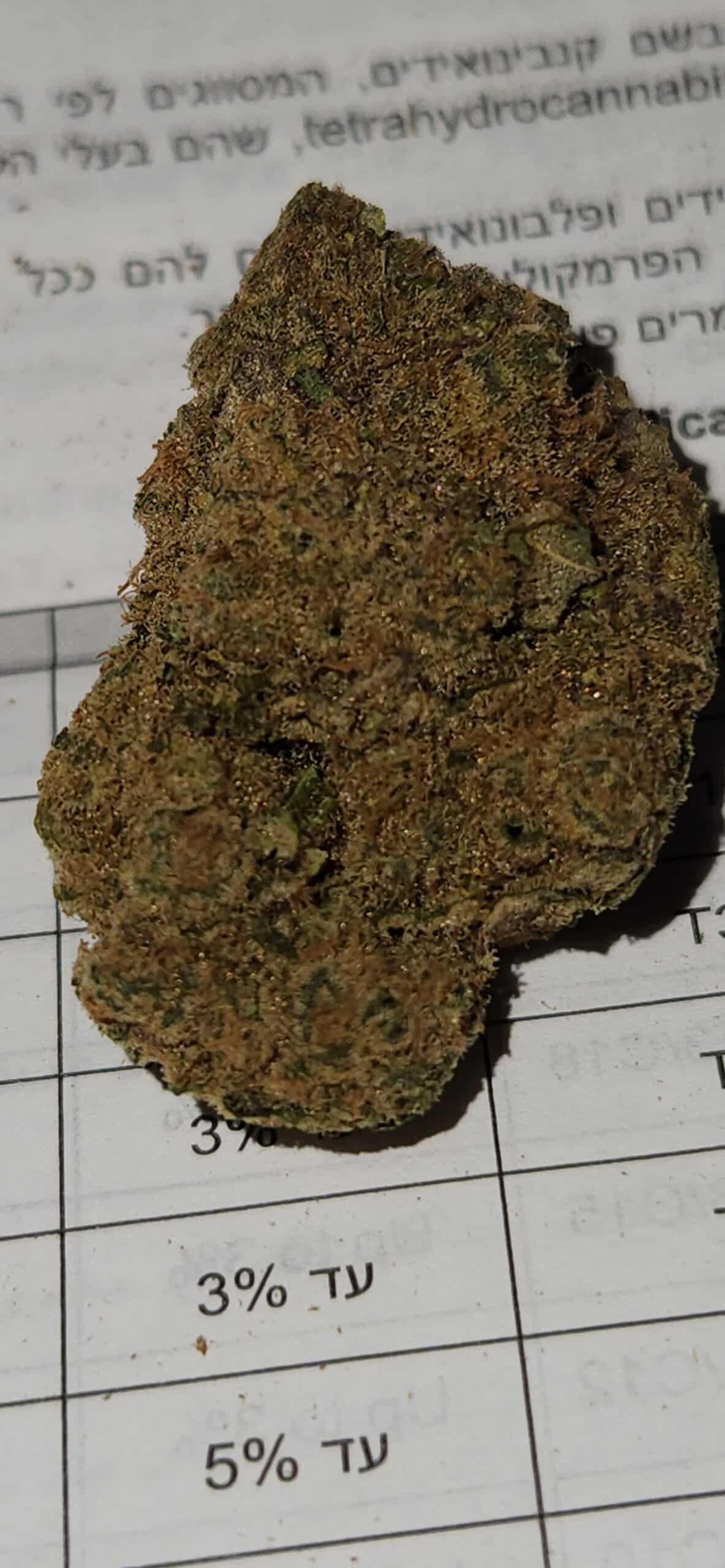 קטצ'רס (Catchers) – אינדיקה T22/C4