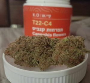 קיי.או (K.O) – אינדיקה T22/C4