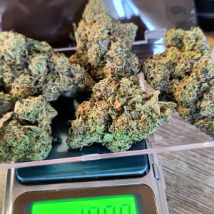 קיי.אם.אל (K.M.L) – אינדיקה T22/C4