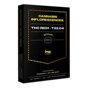 קינאפז (Keynapz) – אינדיקה T22/C4