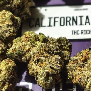 קליפורניה אוג'י מיני (California OG Mini) – היבריד T22/C4