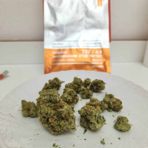 קליפסו (Calypso) – היבריד T22/C4