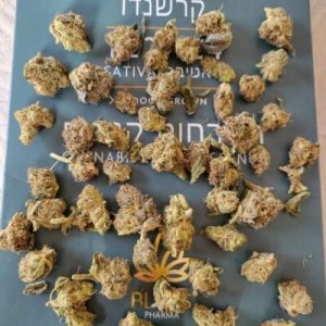 קרשנדו (Crescendo) – סאטיבה T22/C4