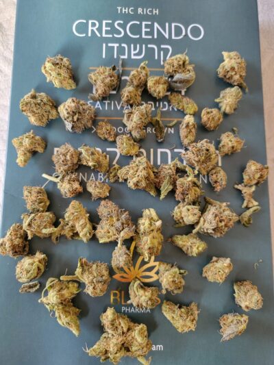 קרשנדו (Crescendo) – סאטיבה T22/C4