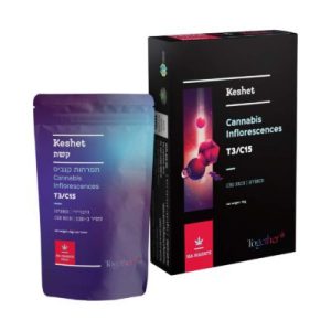 קשת (Keshet) – היבריד T3/C15