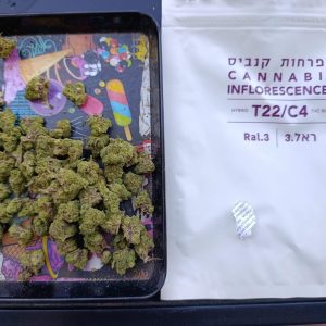 ראל.3 (Ral.3) – היבריד T22/C4