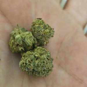 ראל.6 (Ral.6) – היבריד T22/C4